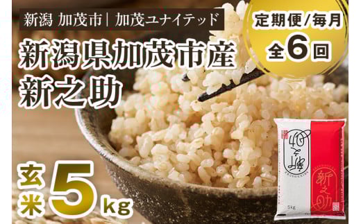 【令和7年産新米先行予約】【定期便6ヶ月毎月お届け】新潟県産 新之助 玄米5kg 《5kg×1袋》《10月上旬から順次発送》 新潟 ブランド米 加茂市 加茂ユナイテッド新潟県加茂市96000米・パン玄