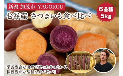 【2024年】【新潟県加茂市七谷産】6種食べ比べセット5kg(M〜LLサイズ)さつまいも《11月下旬〜順次発送》人気品種 食べ比べ 濃厚な甘み 低温熟成  蒸し芋や焼き芋、スイートポテトなどのス