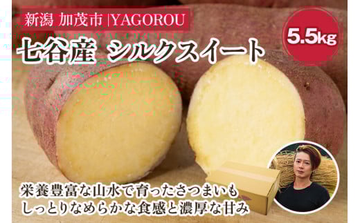 【新潟県加茂市七谷産】シルクスイート 5.5kg(M〜LLサイズ)さつまいも《11月中旬〜順次発送》人気品種 しっとり食感と濃厚な甘み 低温熟成  蒸し芋や焼き芋、スイートポテトなどのスイー