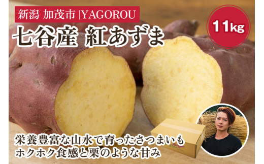 yVΎsJYzg 11kgiM`LLTCYj܂s11{`tlCi ققHƔZȊÂ ቷn  XC[g|egVՂAĂ Ύs YAGOROU S