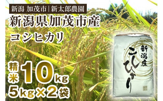【令和7産新米】新潟産コシヒカリ 精米 10kg(5kg×2袋)《順次発送》 コシヒカリ 新潟産 米  お米 白米 有機肥料で育ったこだわり米 加茂市 新太郎農園新潟県加茂市31000米・パン白米