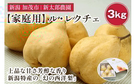 【2025年先行予約】【家庭用】幻の洋梨 ル・レクチェ3kg(8〜11玉) 《11月下旬から順次発送》 果物 フルーツ  家庭用  加茂市産ル・レクチェ  梨 西洋梨 加茂市 新太郎農園新潟県加茂市16000果