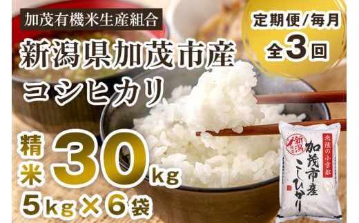 【令和7年産新米先行予約】【定期便3回毎月お届け】新潟県加茂市産コシヒカリ 精米30kg(5kg×6) 《10月中旬から順次出荷 》 白米 加茂有機米生産組合新潟県加茂市282000米・パン白米