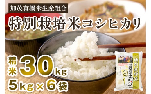 yߘa7NYVĐs\zVΎsY ʍ͔|ăRVqJ 30kgi5kg×6j s10{珇oׁt  ]iRVqJ ΗL@ĐYgVΎs107000āEp