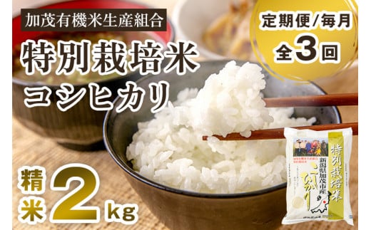 【令和7年産新米先行予約】【定期便3回毎月お届け】新潟県加茂市産 特別栽培米コシヒカリ 精米2kg 《10月中旬から順次出荷》 白米 従来品種コシヒカリ 加茂有機米生産組合新潟県加茂市22000