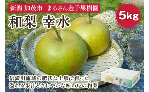 【2024年】【贈答用】和梨 幸水 5kg(12〜16玉)《8月中旬から順次発送》 果物 なし 梨 フルーツ 新鮮 産地 加茂市 まるさん金子果樹園新潟県加茂市12000果物・フルーツりんご・梨