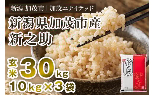 【令和7年産新米先行予約】新潟県産 新之助 玄米30kg 《10kg×3袋》《10月上旬から順次発送》 新潟 ブランド米 加茂市 加茂ユナイテッド新潟県加茂市90000米・パン玄米・雑穀米・もち米・餅