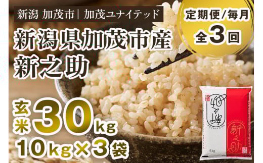 【令和7年産新米先行予約】【定期便3ヶ月毎月お届け】新潟県産 新之助 玄米30kg 《10kg×3袋》《10月上旬から順次発送》 新潟 ブランド米 加茂市 加茂ユナイテッド新潟県加茂市255000米・パン