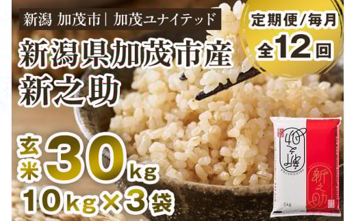 【令和7年産新米先行予約】【定期便12ヶ月毎月お届け】新潟県産 新之助 玄米30kg 《10kg×3袋》《10月上旬から順次発送》 新潟 ブランド米 加茂市 加茂ユナイテッド新潟県加茂市1020000米・パン