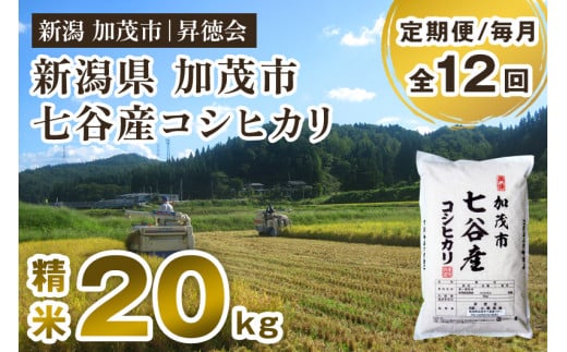 【令和6年産米】【定期便12ヶ月毎月お届け】新潟県加茂市 七谷産コシヒカリ 精米20kg(5kg×4) 白米 高柳地域産数量限定 昇徳会新潟県加茂市616000米・パン白米