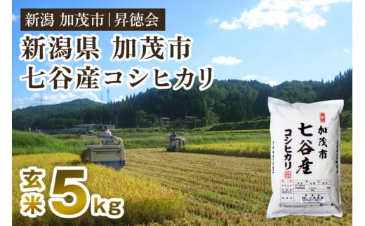 【令和6年産米】新潟県加茂市 七谷産コシヒカリ 玄米5kg 高柳地域産数量限定 昇徳会新潟県加茂市13000米・パン白米