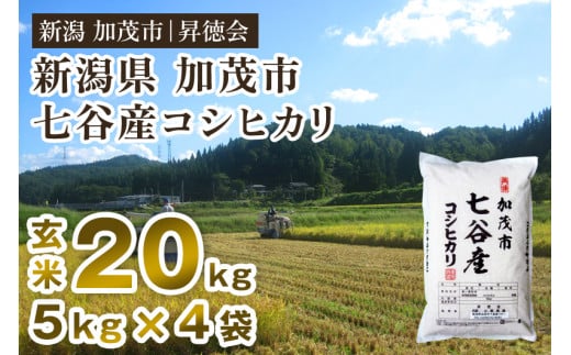 【令和6年産米】新潟県加茂市 七谷産コシヒカリ 玄米20kg(5kg×4) 高柳地域産数量限定 昇徳会新潟県加茂市49000米・パン白米