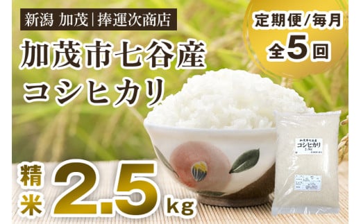 yߘa6NYāzy5͂zVΎsJYRVqJ 2.5kgi2.5kg×1j  ^XVΎs30000āEp