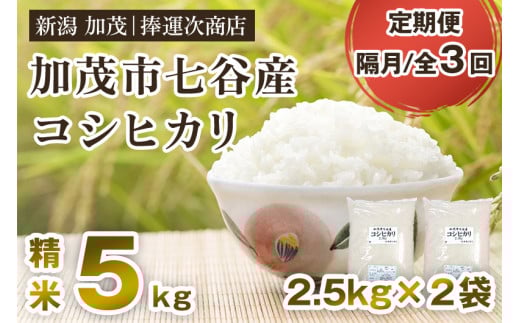 yߘa6NYāzy3u͂zVΎsJYRVqJ 5kgi2.5kg×2܁j  ^X ֐VΎs36000āEp