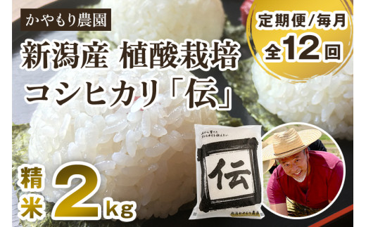 【令和7年産新米】【定期便12ヶ月毎月お届け】新潟産コシヒカリ「伝」白米真空パック 精米2kg 《9月下旬〜順次出荷》 南麻布の高級料亭で提供される極上米 かやもり農園 新潟県 加茂市産