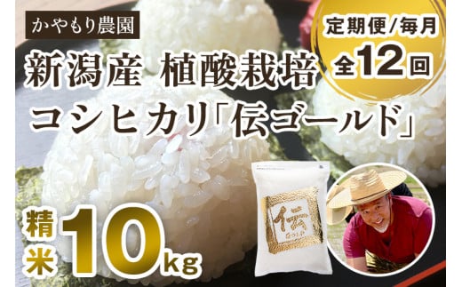 【定期便12ヶ月毎月お届け】新潟産コシヒカリ「伝ゴールド」白米真空パック 精米10kg(2kg×5)南麻布の高級料亭で提供される極上米 かやもり農園 定期便新潟県加茂市680000米・パン白米
