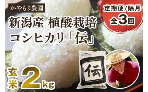 【令和7年産新米】【定期便3回隔月お届け】新潟産コシヒカリ「伝」真空パック 玄米2kg 《9月下旬〜順次出荷》 南麻布の高級料亭で提供される極上米 かやもり農園新潟県加茂市29000米・パン