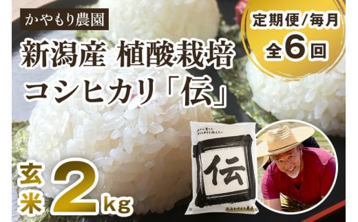 【令和7年産新米】【定期便6ヶ月毎月お届け】新潟産コシヒカリ「伝」真空パック 玄米2kg 《9月下旬〜順次出荷》 南麻布の高級料亭で提供される極上米 かやもり農園新潟県加茂市58000米・パ