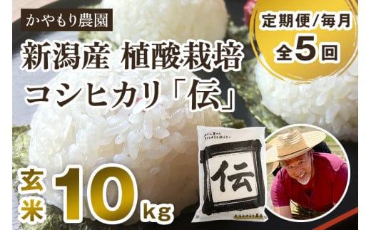 【令和7年産新米】【定期便5ヶ月毎月お届け】新潟産コシヒカリ「伝」真空パック 玄米10kg(5kg×2)《9月下旬〜順次出荷》 南麻布の高級料亭で提供される極上米 かやもり農園新潟県加茂市22