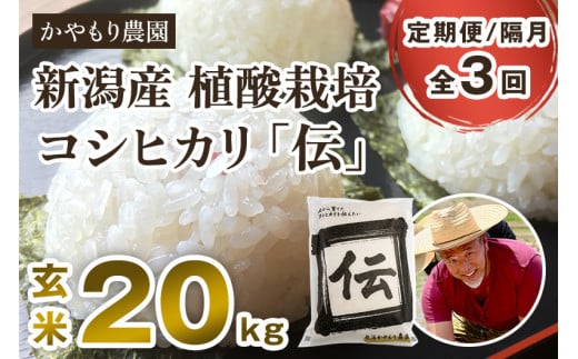 【令和7年産新米】【定期便3回隔月お届け】新潟産コシヒカリ「伝」真空パック 玄米20kg(5kg×4)《9月下旬〜順次出荷》 南麻布の高級料亭で提供される極上米 かやもり農園新潟県加茂市27000
