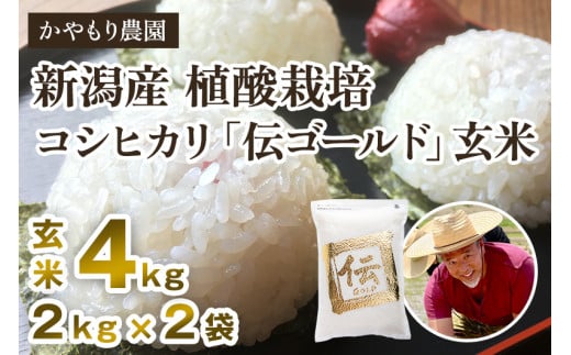 yߘa6NYāzVYRVqJu`S[hv^pbN 4kgi2kg×2j 얃z̍Œ񋟂ɏ _VΎs22000āEp