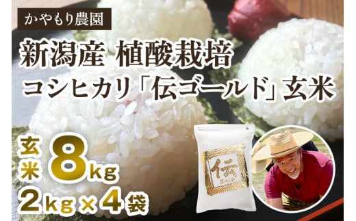 yߘa6NYāzVYRVqJu`S[hv^pbN 8kgi2kg×4j 얃z̍Œ񋟂ɏ _VΎs44000āEp