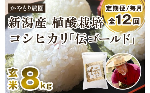 yߘa6NYāzy12͂zVYRVqJu`S[hv^pbN 8kgi2kg×4j 얃z̍Œ񋟂ɏ _VΎs528000āEp