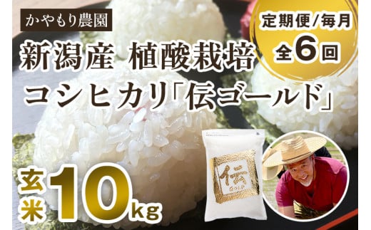 【令和6年産米】【定期便6ヶ月毎月お届け】新潟産コシヒカリ「伝ゴールド」真空パック 玄米10kg(2kg×5) 南麻布の高級料亭で提供される極上米 かやもり農園新潟県加茂市332000米・パン白米