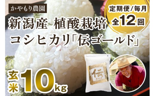 【令和6年産米】【定期便12ヶ月毎月お届け】新潟産コシヒカリ「伝ゴールド」真空パック 玄米10kg(2kg×5) 南麻布の高級料亭で提供される極上米 かやもり農園新潟県加茂市664000米・パン白