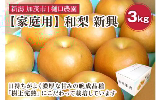 【家庭用】和梨 新興 3kg(5〜8玉)《11月中旬から順次発送》果物 なし しんこう 梨 フルーツ 新鮮 ジューシー 産地 加茂市 樋口農園新潟県加茂市8000果物・フルーツりんご・梨