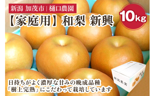 yƒpza V 10kgi16`24ʁjs11{珇tʕ Ȃ 񂱂  t[c VN W[V[ Yn Ύs _VΎs18000ʕEt[c񂲁E