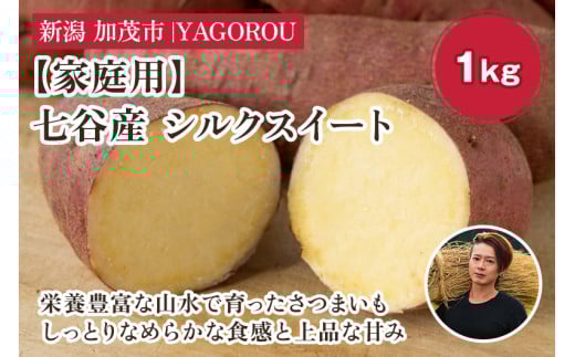 【2025年先行予約】【家庭用】シルクスイート 1kg(A品・B品混在) 新潟県加茂市七谷産 さつまいも《11月下旬〜順次発送》 サツマイモ お芋 焼き芋 スイートポテト 野菜 根菜 低温熟成 加茂
