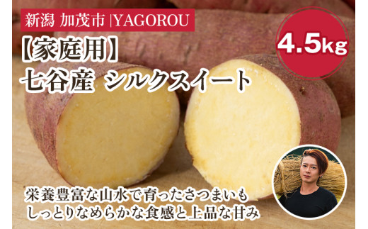 【2025年先行予約】【家庭用】シルクスイート 4.5kg(A品・B品混在) 新潟県加茂市七谷産 さつまいも《11月下旬〜順次発送》 サツマイモ お芋 焼き芋 スイートポテト 野菜 根菜 低温熟成 加茂