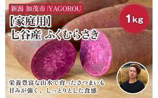 【2025年先行予約】【家庭用】ふくむらさき 1kg(A品・B品混在) 新潟県加茂市七谷産 さつまいも《11月下旬〜順次発送》 サツマイモ お芋 焼き芋 スイートポテト 野菜 根菜 低温熟成 加茂市 Y