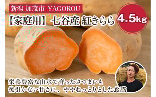 【家庭用】紅きらら 4.5kg(A品・B品混在) 新潟県加茂市七谷産 さつまいも《11月下旬〜順次発送》 サツマイモ お芋 焼き芋 スイートポテト 野菜 根菜 低温熟成 加茂市 YAGOROU ヤゴロウ新潟県