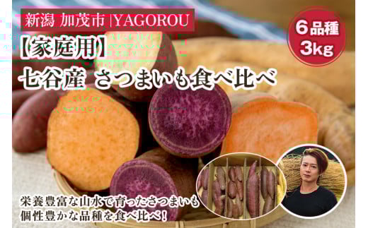 【2025年先行予約】【家庭用】さつまいも6種食べ比べ 3kg(A品・B品混在) 新潟県加茂市七谷産 さつまいも《11月下旬〜順次発送》 サツマイモ お芋 焼き芋 スイートポテト 野菜 根菜 低温熟