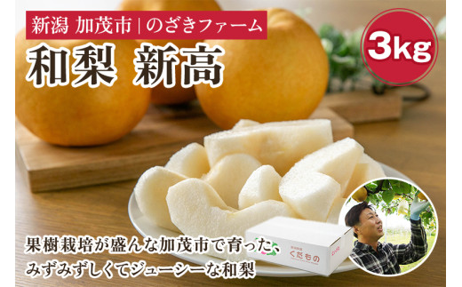 【2025年先行予約】新潟県加茂市産 和梨 新高3kg(4〜8玉)〈10月上旬〜順次出荷〉 なし ナシ にいたか 果物 フルーツ 秋の味覚 加茂市 のざきファーム新潟県加茂市9000果物・フルーツりんご