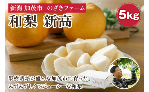 【2025年先行予約】新潟県加茂市産 和梨 新高5kg(6〜12玉)〈10月上旬〜順次出荷〉 なし ナシ にいたか 果物 フルーツ 秋の味覚 加茂市 のざきファーム新潟県加茂市13000果物・フルーツりんご