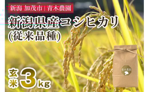 【令和7年産新米先行予約】新潟県産 コシヒカリ(従来品種)玄米3kg(3kg×1袋)《10月上旬から順次発送》 玄米 白米 きのこ農家ならではの有機質肥料 お米 新潟産 コシヒカリ 加茂市 青木農