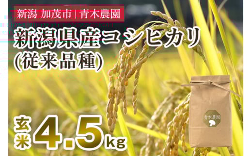 【令和7年産新米先行予約】新潟県産 コシヒカリ(従来品種)玄米4.5kg(1.5kg×3袋)《10月上旬から順次発送》 玄米 白米 きのこ農家ならではの有機質肥料 お米 新潟産 コシヒカリ 加茂市 青