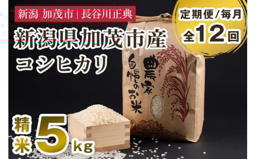 【定期便12ヶ月毎月お届け】新潟県加茂市産コシヒカリ 精米 5kg 新潟米 お米 白米 ご飯 ライス こしひかり 加茂市 長谷川正典新潟県加茂市150000米・パン白米
