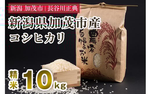 新潟県加茂市産コシヒカリ 精米 10kg 新潟米 お米 白米 ご飯 ライス こしひかり 加茂市 長谷川正典新潟県加茂市25000米・パン白米