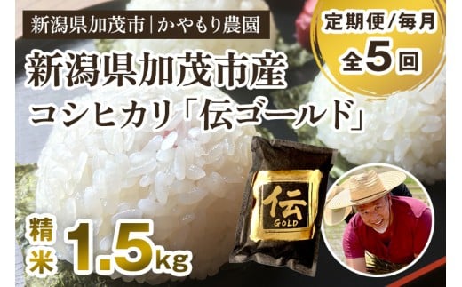 【令和7年産新米】【定期便5回毎月お届け】新潟産コシヒカリ「伝ゴールド」白米真空パック 精米1.5kg  《9月下旬から順次出荷》 南麻布の高級料亭で提供される極上米 かやもり農園新潟県