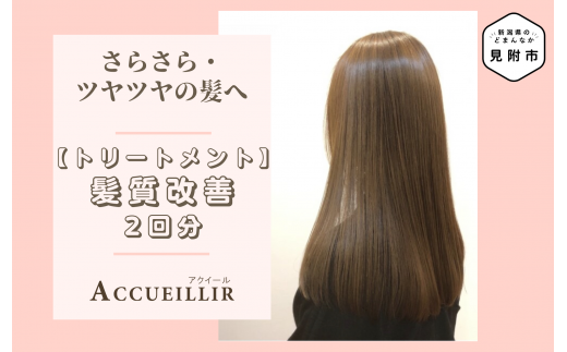 トリートメント 施術利用券 2回分 髪質改善 ACCUEILLIR 美容院 美容室 チケット 体験型 プレゼント ギフト 贈答 新潟県 見附市新潟県見附市34000雑貨・日用品化粧水・乳液・美容品