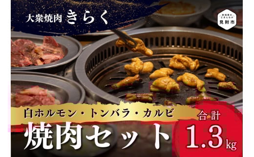 Oēu炭ṽVE goEJrēZbg 1.3kg  ē  ؓ  z  Jr go ؃o IXXVs21000