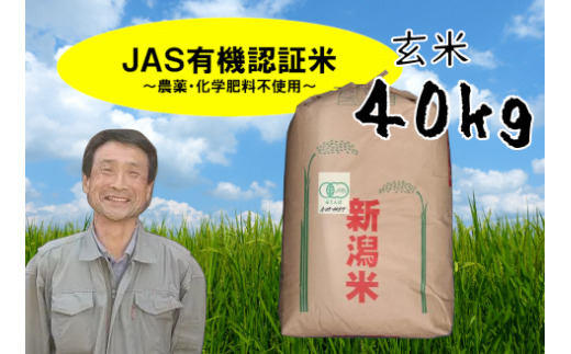 【令和7年産新米】JAS有機認証米 コシヒカリ 玄米 40kg 精米も可 1G10175新潟県阿賀野市175000米・パン白米