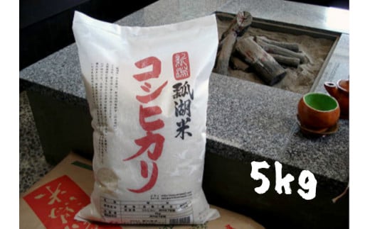【 令和7年産新米予約】新潟産コシヒカリ「瓢湖米」5kg 11月上旬より順次発送予定 1N04018新潟県阿賀野市18000米・パン白米
