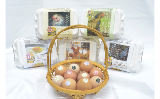 平飼い有精卵セット(5種各6個・計30個) ひよころ鶏園 卵 たまご 地鶏 赤鶏あずさ にいがた地鶏 軍鶏 名古屋コーチン 岡崎おうはん 国産 食べ比べ 平飼い 新鮮 レモンイエロー  新潟県 阿賀