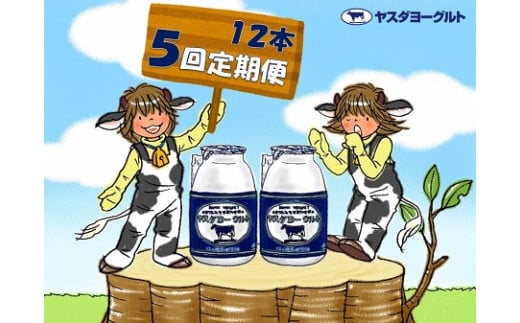 【5ヶ月定期便】ヤスダヨーグルト 150g×12本×5回 小ボトル 無添加 搾りたて こだわり生乳 濃厚 飲むヨーグルト のむよーぐると ヨーグルト 1B03031新潟県阿賀野市31000卵・乳製品牛乳・乳飲料