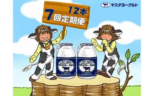 y7ցzX_[Og 150g×12{×7 {g Y 肽 萶 Z ރ[Og ̂ނ[ [Og 1B04043Vs43000EiE